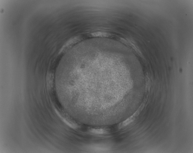 X0000081410171200702092118