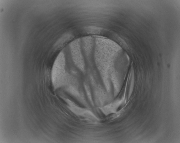 X0000081410172200702092118