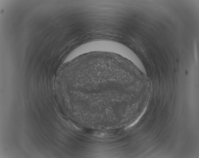 X0000081410174200702092118