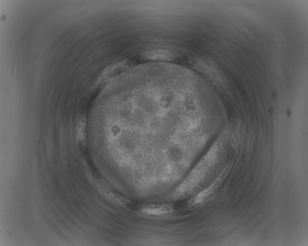 X0000081410175200702092118