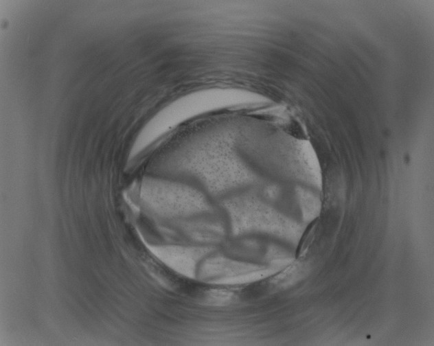 X0000081410176200702092118