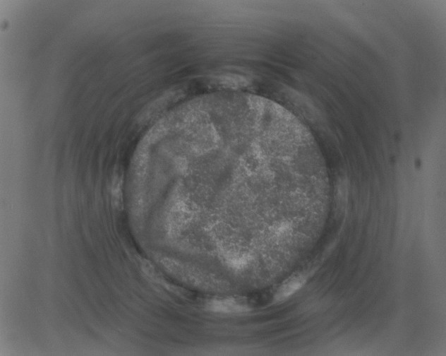 X0000081410177200702092118