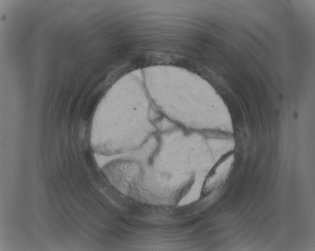 X0000081410178200702092118