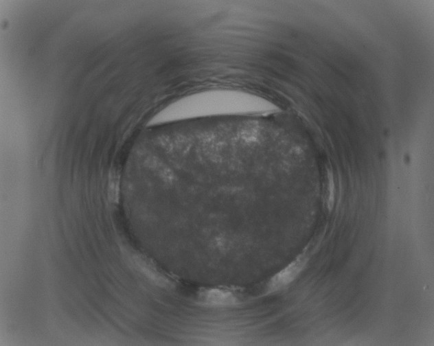 X0000081410180200702092118