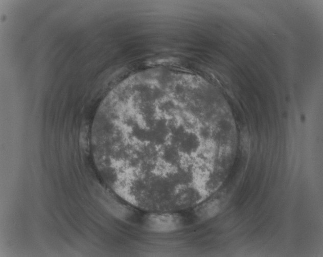 X0000081410181200702092118