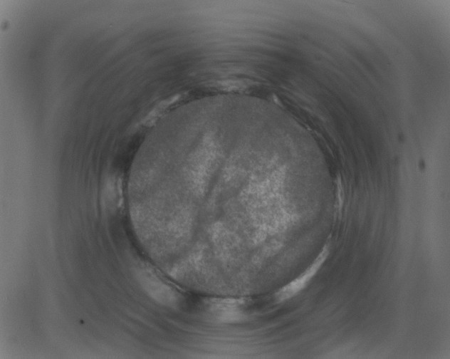 X0000081410182200702092118