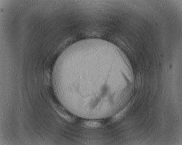 X0000081410183200702092118