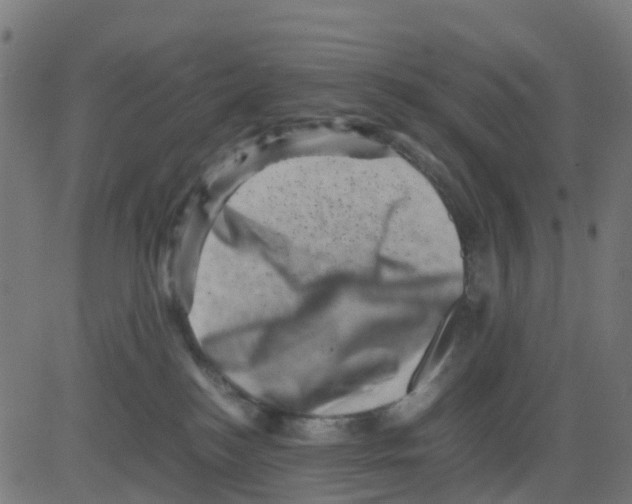 X0000081410184200702092118