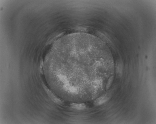 X0000081410185200702092118