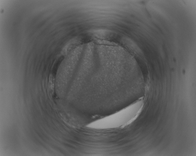 X0000081410186200702092118