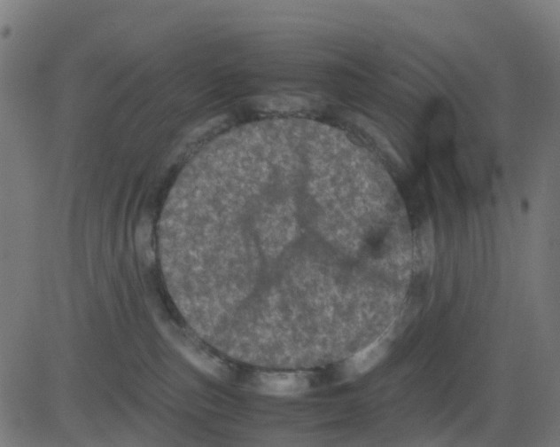 X0000081410187200702092118