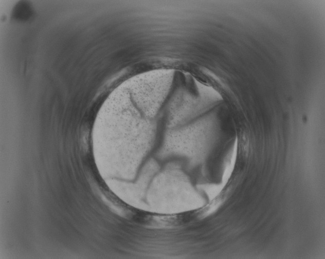 X0000081410188200702092118