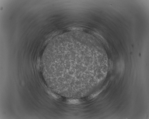 X0000081410189200702092118