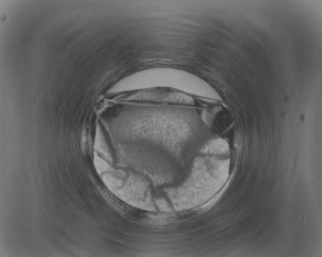 X0000081410190200702092118