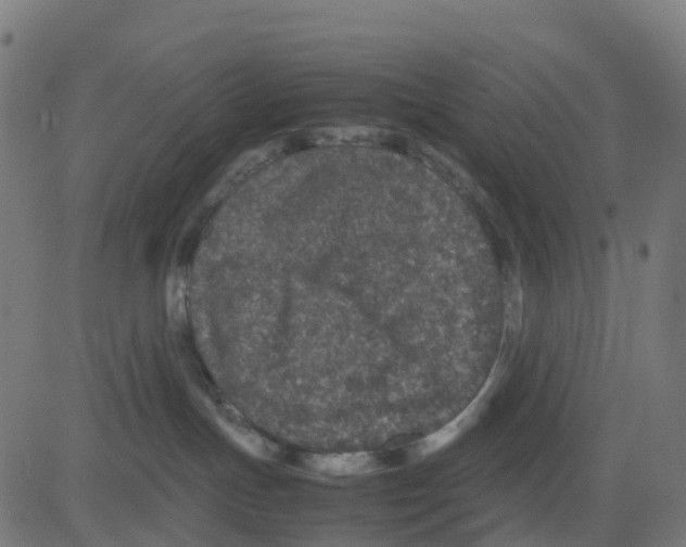 X0000081410191200702092118