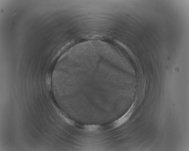 X0000081410192200702092118