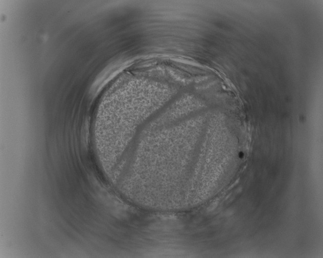 X0000081410194200702092117