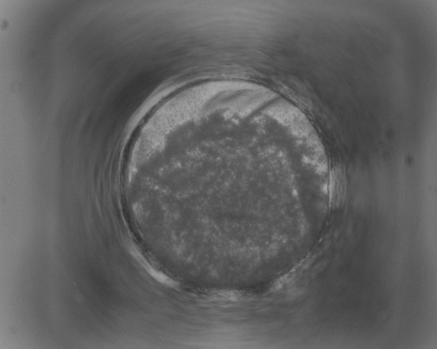 X0000081410195200702092117