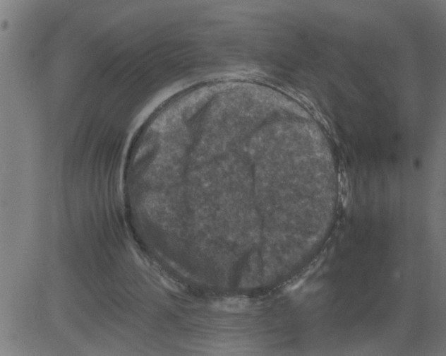 X0000081410196200702092117