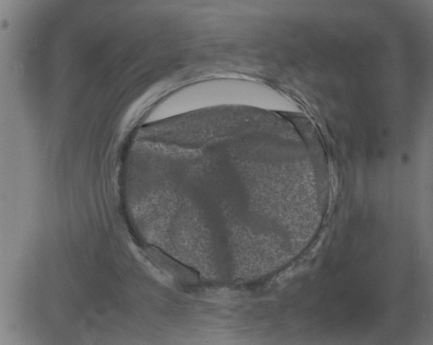 X0000081410197200702092117