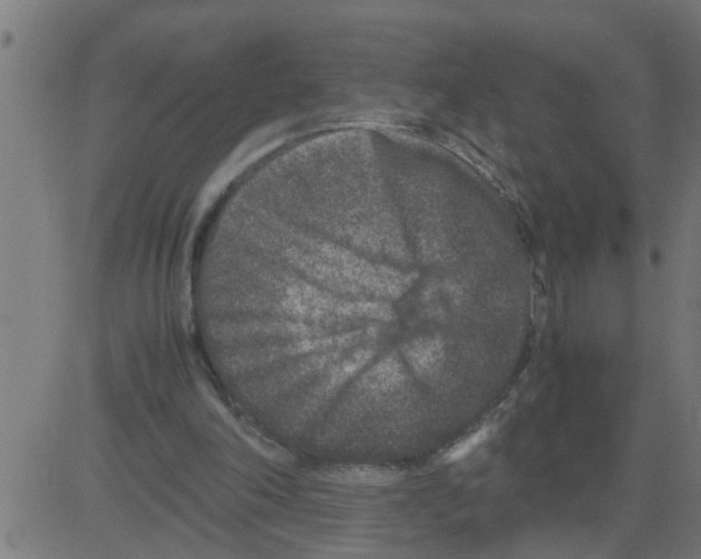 X0000081410198200702092117