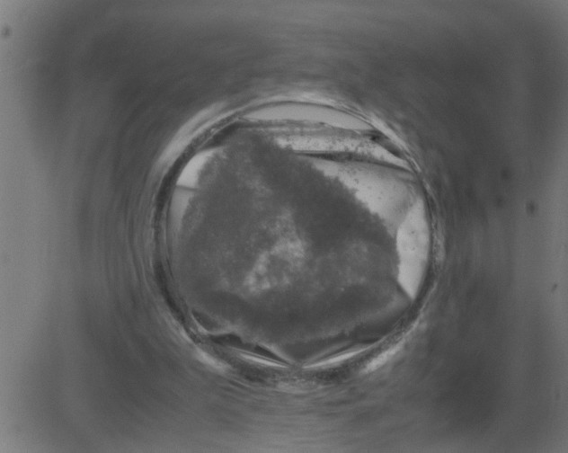 X0000081410199200702092117