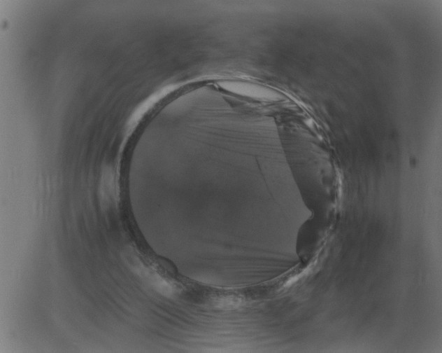 X0000081410200200702092117