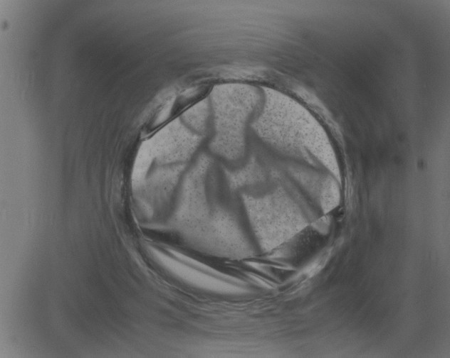 X0000081410201200702092117