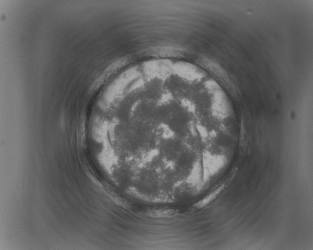 X0000081410202200702092117