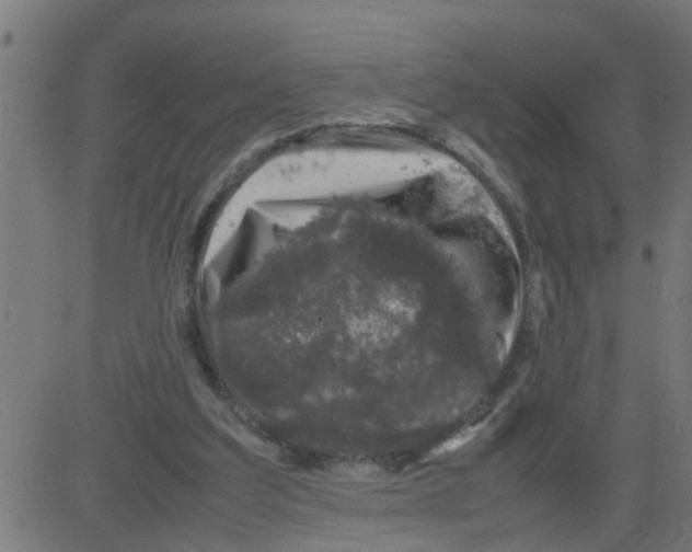 X0000081410203200702092117