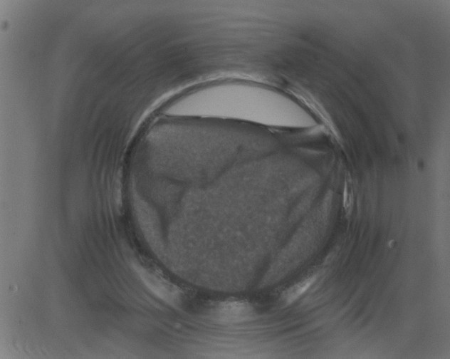 X0000081410204200702092117