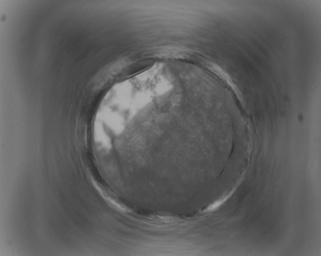 X0000081410205200702092117