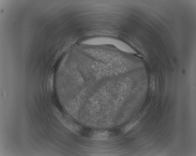 X0000081410206200702092117