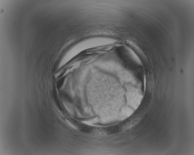 X0000081410207200702092117