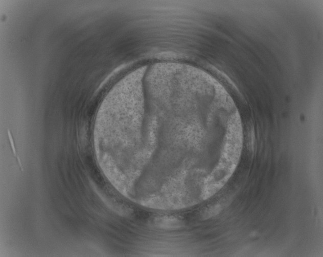 X0000081410208200702092117