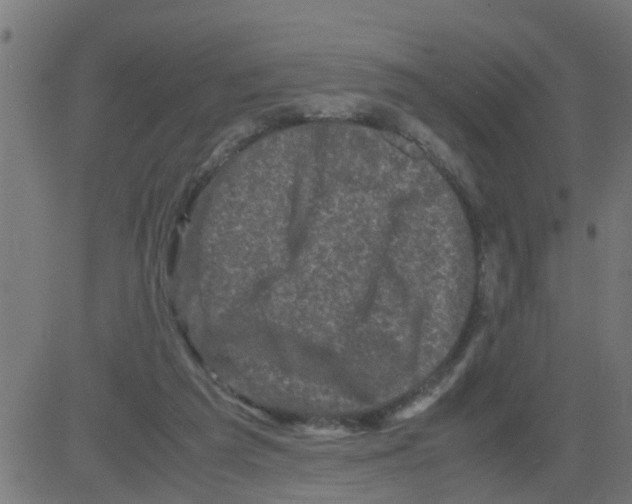 X0000081410209200702092117