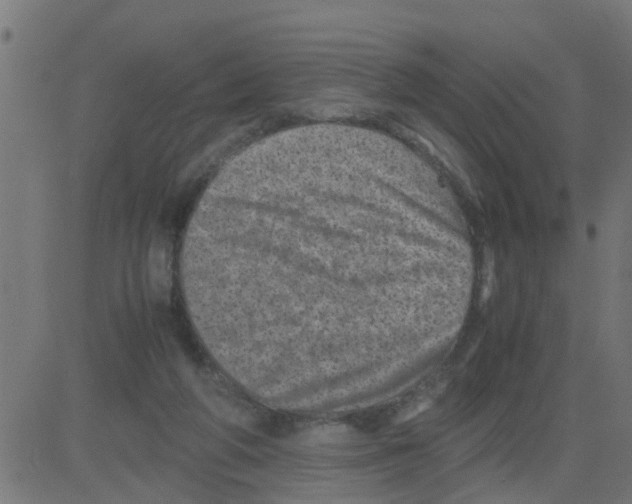 X0000081410210200702092117