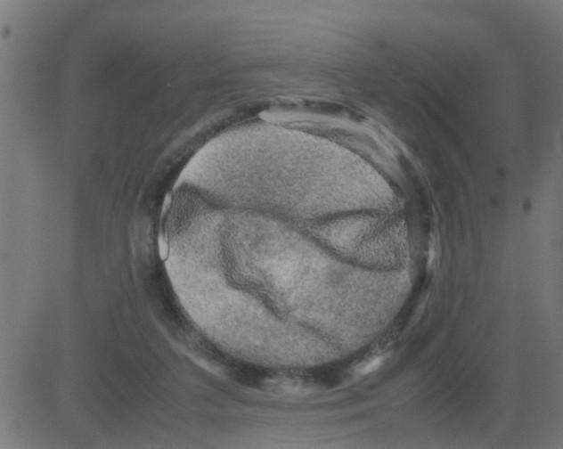 X0000081410211200702092117