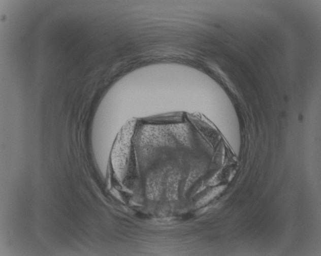 X0000081410213200702092117