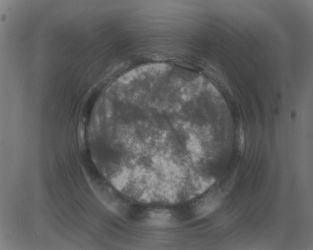 X0000081410214200702092117