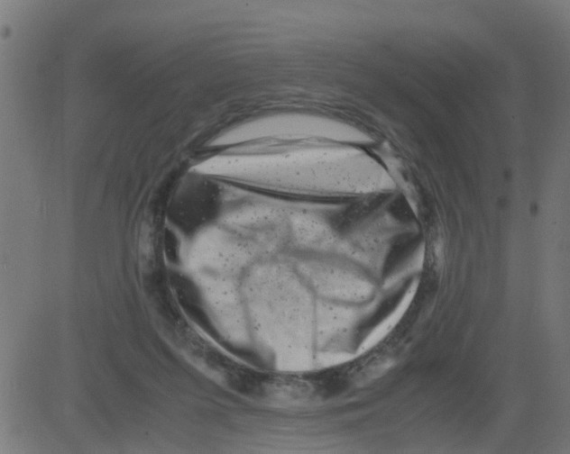 X0000081410215200702092117