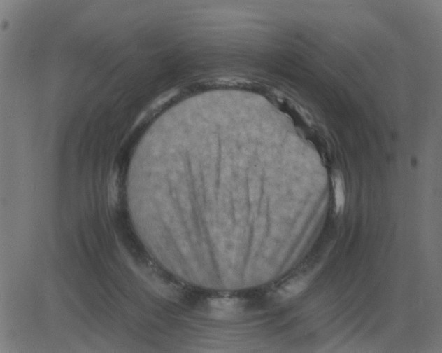 X0000081410216200702092117