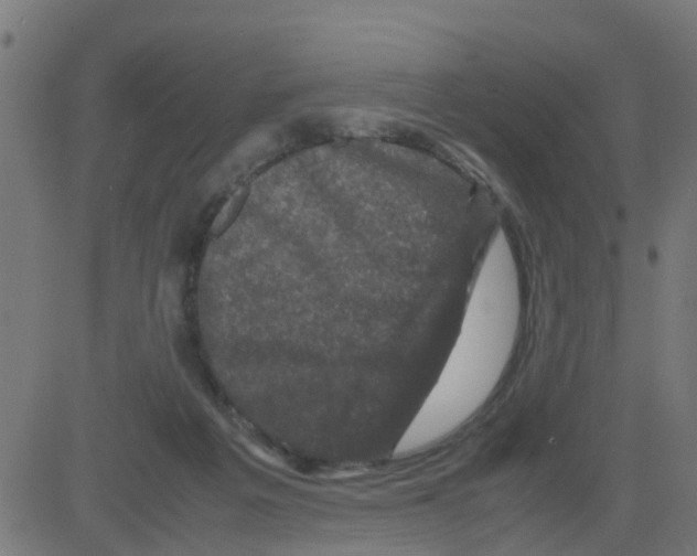 X0000081410217200702092117