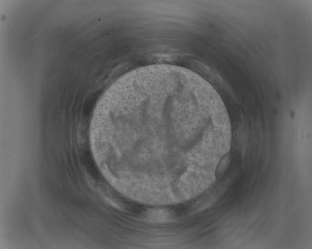 X0000081410218200702092117