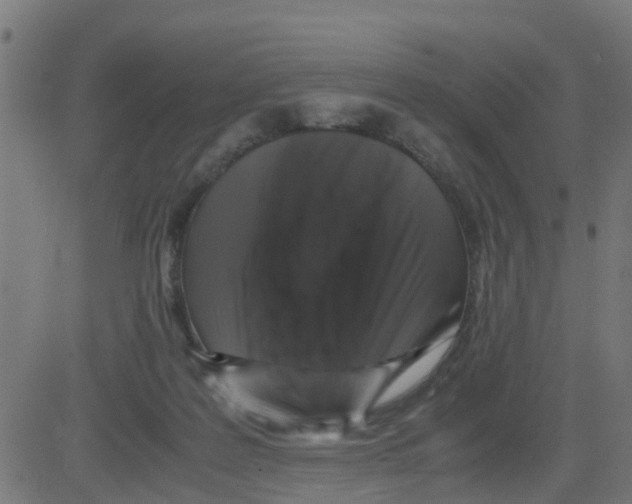 X0000081410219200702092117