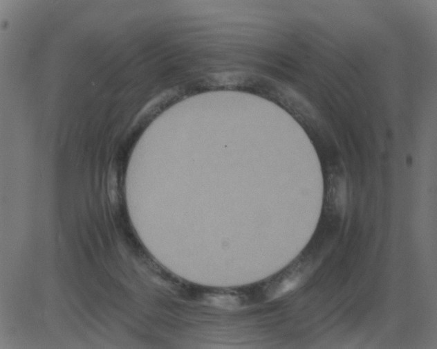 X0000081410220200702092117