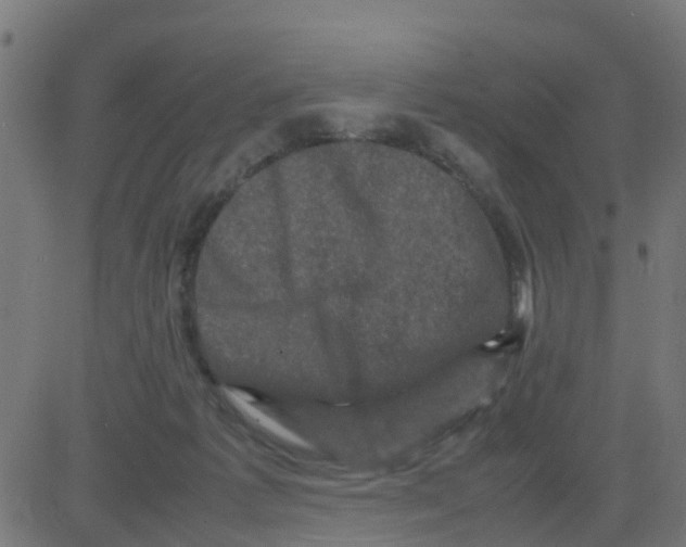 X0000081410221200702092117