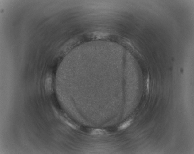 X0000081410222200702092117