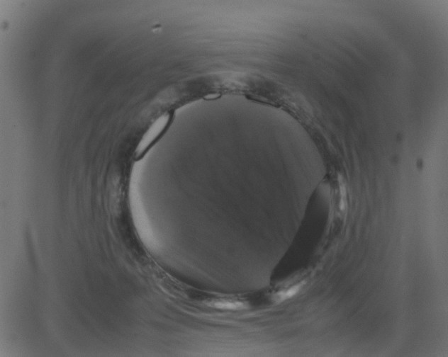 X0000081410223200702092117