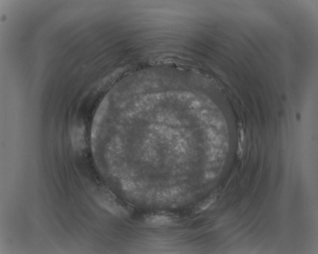 X0000081410224200702092117